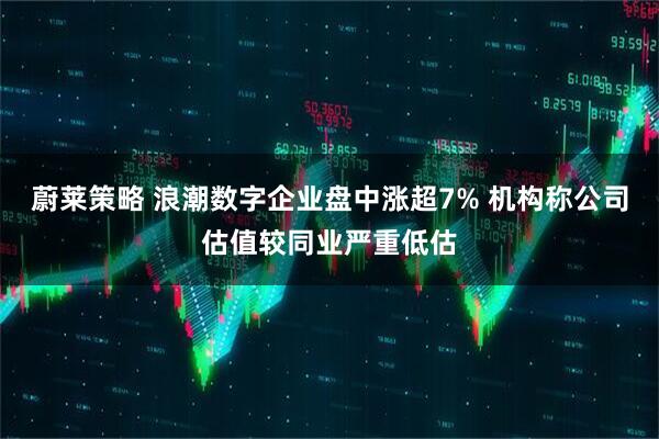 蔚莱策略 浪潮数字企业盘中涨超7% 机构称公司估值较同业严重低估