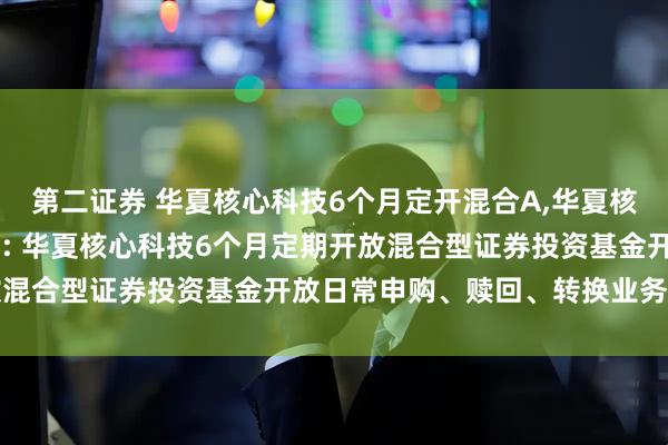第二证券 华夏核心科技6个月定开混合A,华夏核心科技6个月定开混合C: 华夏核心科技6个月定期开放混合型证券投资基金开放日常申购、赎回、转换业务的公告